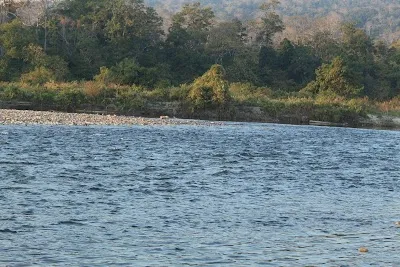 Pakke Tiger Reserve, Bomdilla