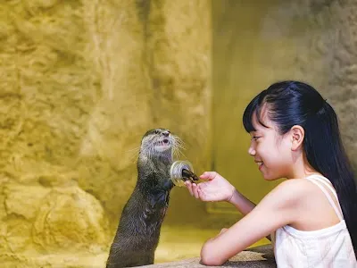 DMM Kariyushi Aquarium okinawa, Naha