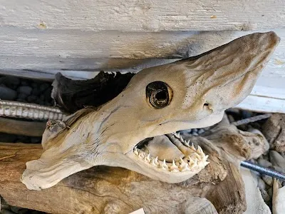 Bjarnarhöfn Shark Museum, Stykkishólmur