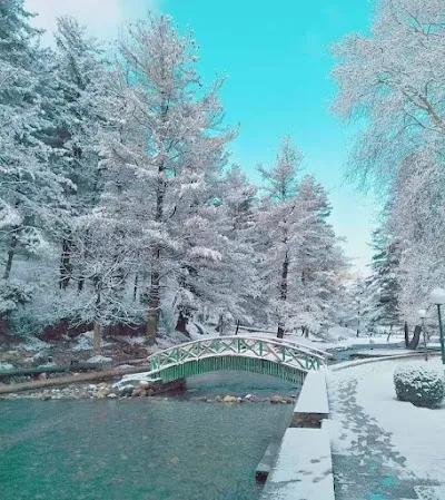 Kokernag Spring, Pahalgam