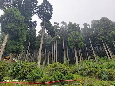 Explore Lepchajagat Pine View, Darjeeling