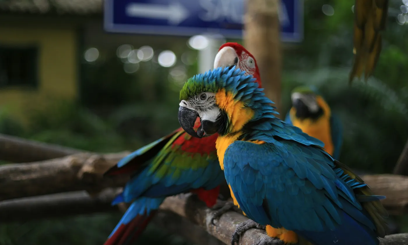 KL Bird Park, Kuala Lumpur