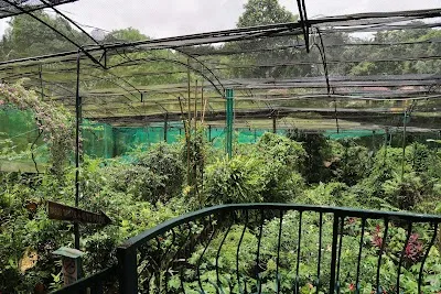Kuala Lumpur Butterfly Park, Kuala Lumpur