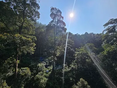 Explore Forest Research Institute Malaysia (FRIM), Kuala Lumpur