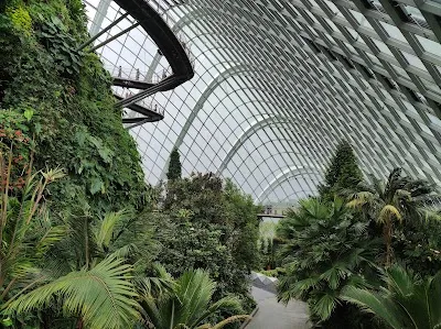 Explore Cloud Forest, Singapore