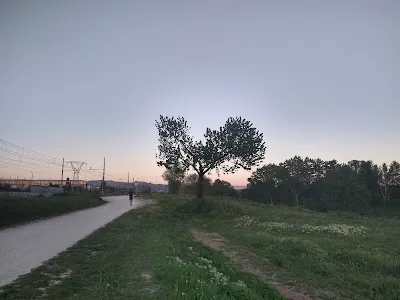 Arno River Park, Florence