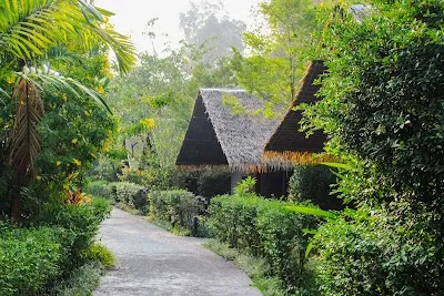 Elephant Hills, Khao Sok