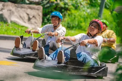 Check out Skyline Luge, Singapore