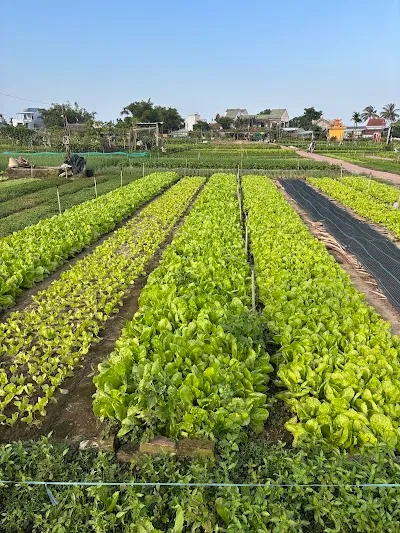 Tra Que Vegetable Village, Hoi An
