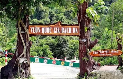 Explore Bạch Mã National Park, Hue