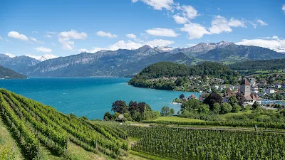 Check out Schloss Spiez, Interlaken