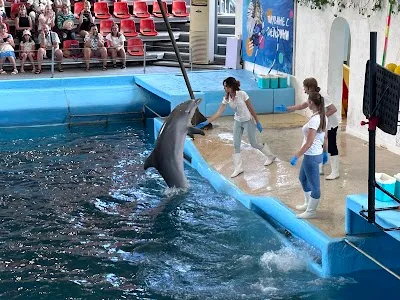 Check out Dolphinarium Varna, Varna