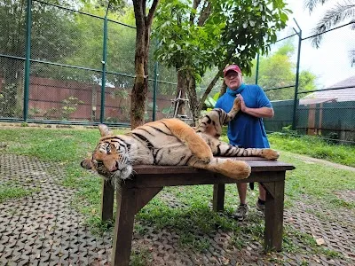 Tiger Kingdom - Phuket, Phuket