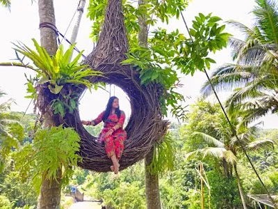 Bali: Jungle Swing Adventure & Scenic Bliss, Ubud