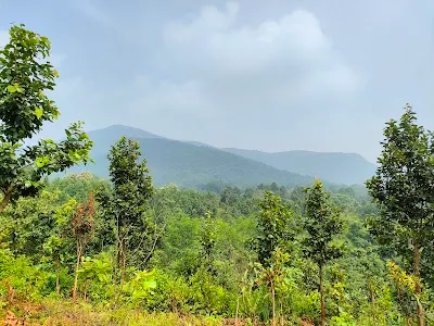 Check out Hill Top View Point, Daringbadi