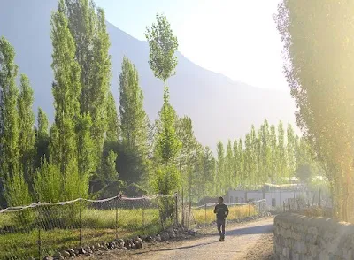 Nubra Hunder, Nubra