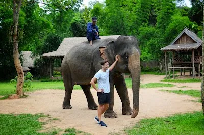 Explore Elephant Village Sanctuary & Resort, Vientiane