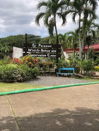 Check out Palawan Wildlife Rescue and Conservation Center (Crocodile Farm), Puerto Princesa
