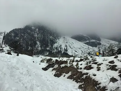 Shingba Rhododendron Sanctuary Gate, Lachung
