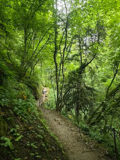 Check out Gorges du Chauderon, Montreux