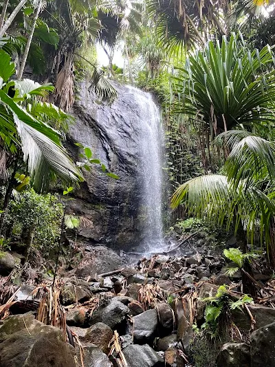 Explore Praslin National Park Waterfall, Praslin