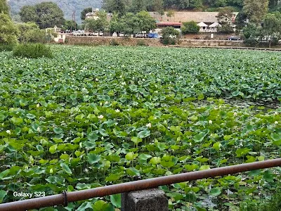 Explore Kamal Taal ( Lotus Taal ) NaukuchiaTal, Sattal