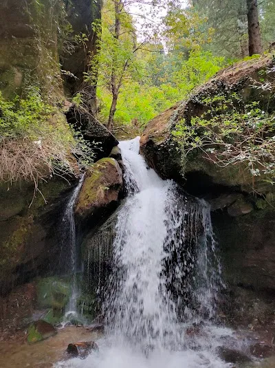 Explore Jana Waterfall, Jana Gaon, Naggar