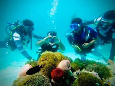 Explore Agatti Island, Lakshadweep, Agatti