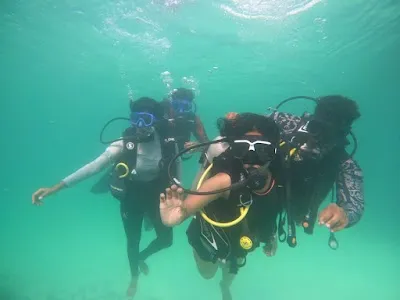 Explore LAGOON TRAVELS AND TOURISM AGATTI, Agatti