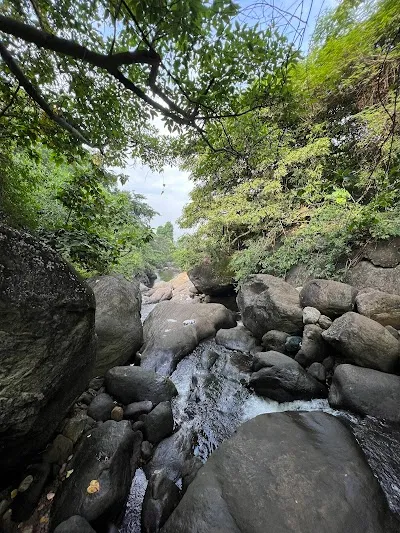 Check out Seetharkund Waterfalls, Nelliyampathy