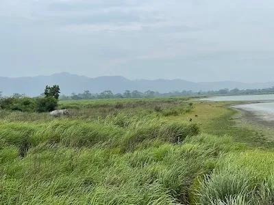 Check out Kaziranga National Park Daflang Watch Tower, Kaziranga National Park
