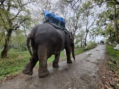 Check out Bagori Elephant Ride Point, Kaziranga National Park