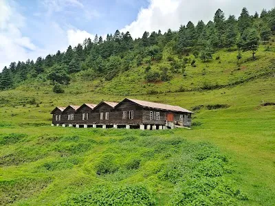 Sangti Valley Sheep Farm, Dirang