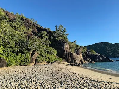 Check out Anse Du Riz, Mahe Island