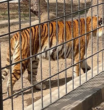 Zoo - Zawraa Park