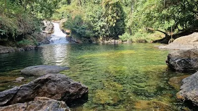 Check out Ton Kloi Waterfall Trail, Khao Sok