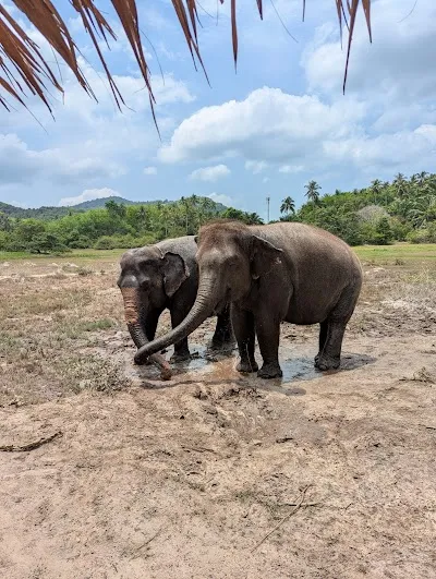 Check out Koh Yao Elephant Beach, Koh Yao Noi