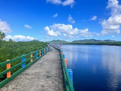 Del Carmen Mangrove Boardwalk, Siargao