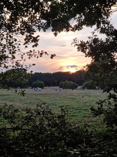 Holmmoor
