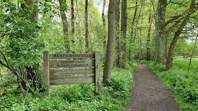 Alsterquelle