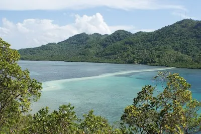 Visit Snake Island sandbar, El Nido