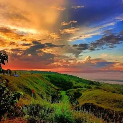 Check out Taytay Hills, Bohol