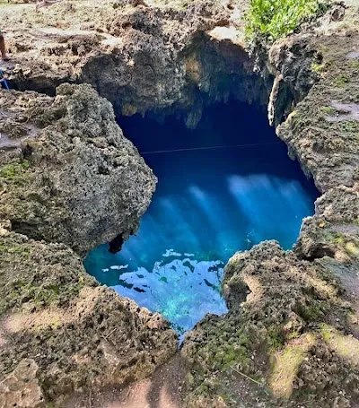 Check out Cabagnow Cave Pool, Bohol