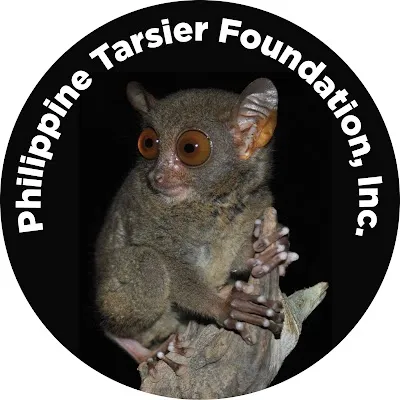 Check out Philippine Tarsier Sanctuary, Bohol