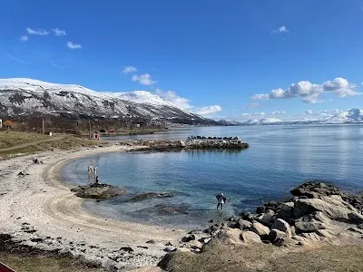 Telegrafbukta