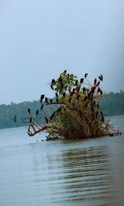 Visit Mundrothuruthu, Munroe island