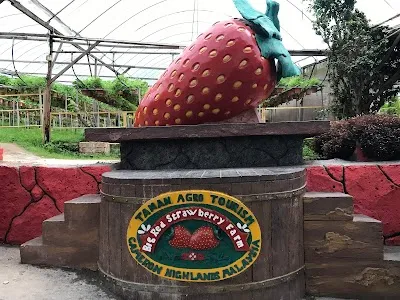 Big Red Strawberry Farm, Cameron Highlands