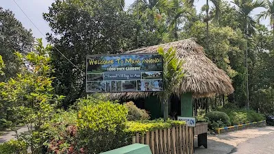 Visit Asia's Cleanest Village, Dawki