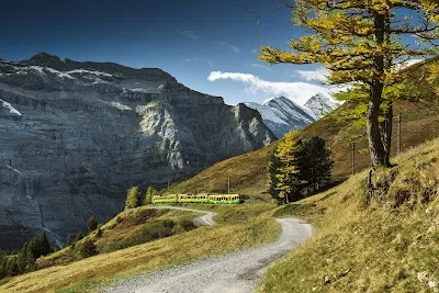Visit Wengernalpbahn AG, Interlaken
