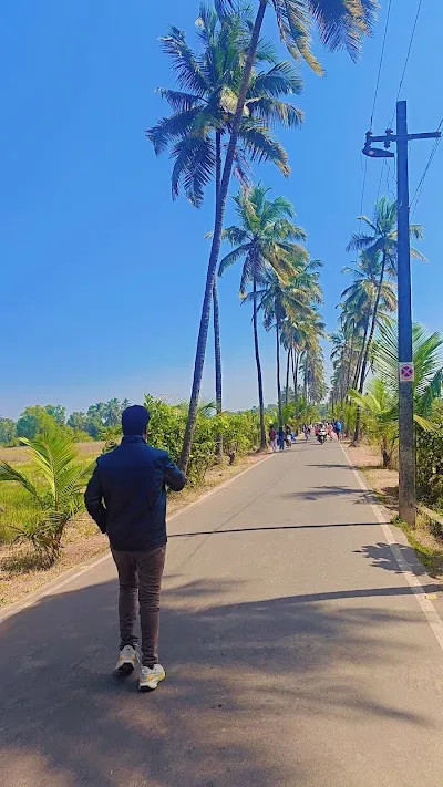 Visit Dear Zindagi Movie Parra Road, North Goa